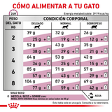 VHN RENAL SPECIAL CAT - TABLA DE RACION